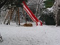 20110101_Div 177